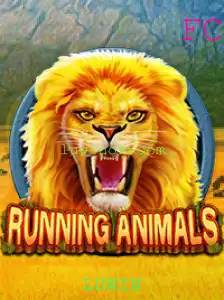 RunningAnimals: Aventura e Velocidade